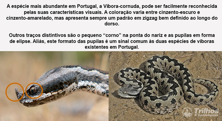 Sem Título-1.jpg