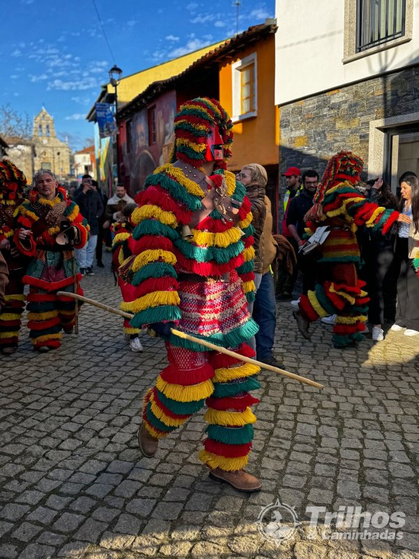 foto_10431