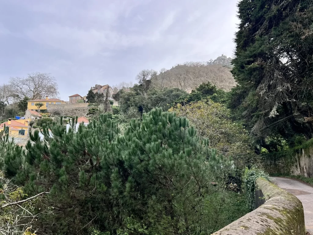 foto_10687