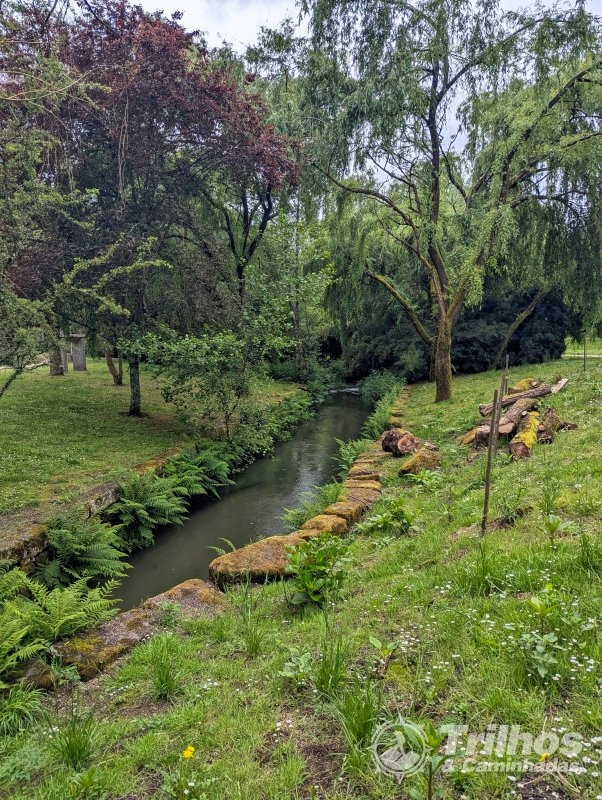 foto_11089