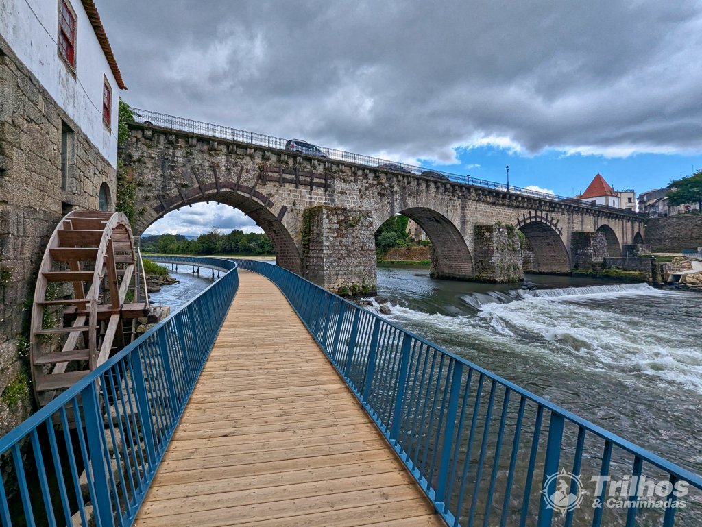 foto_11154