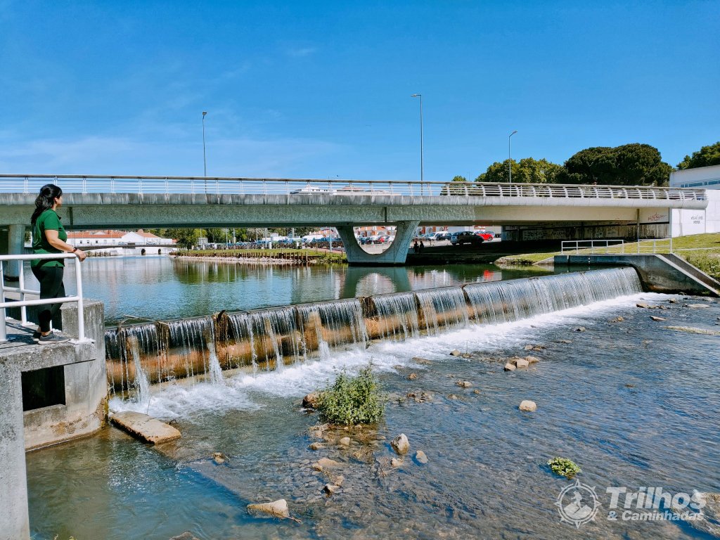 foto_11201