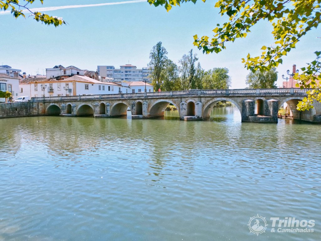 foto_11202