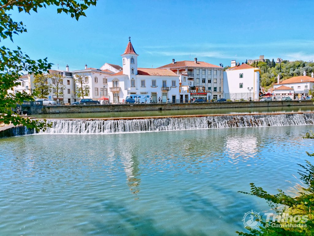 foto_11203