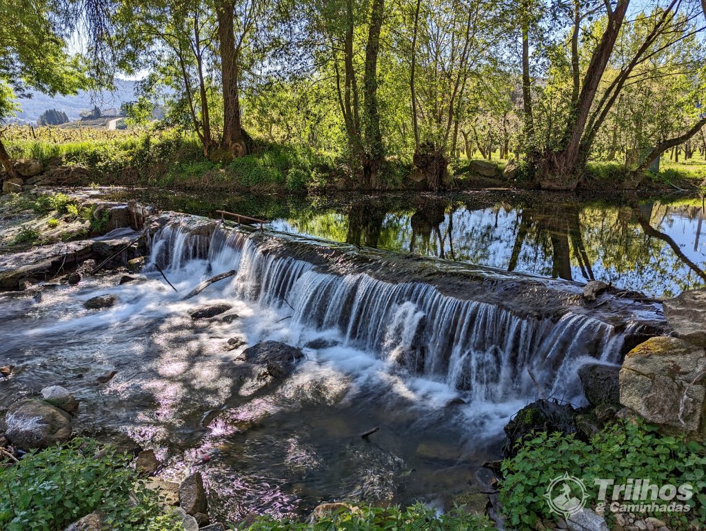 foto_11297