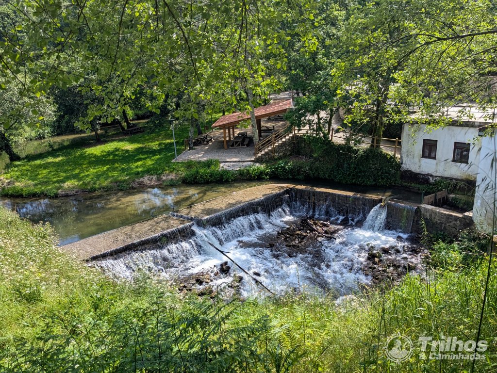 foto_11317