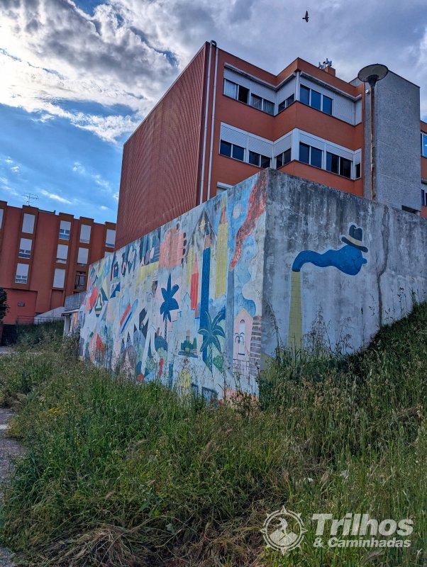 foto_11354