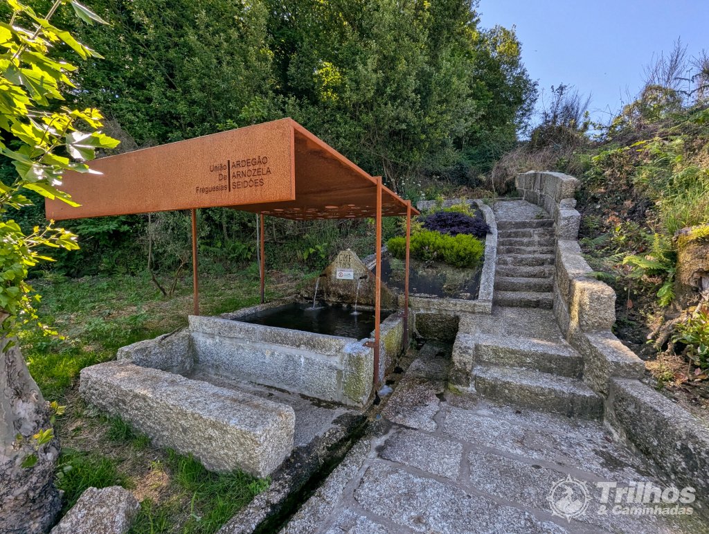 foto_11406