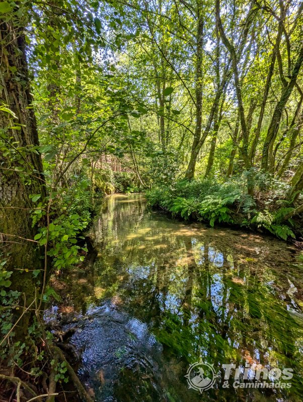 foto_11419