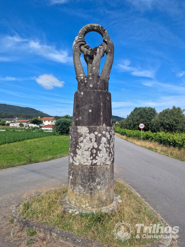 foto_11464