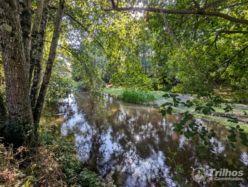 foto_11495