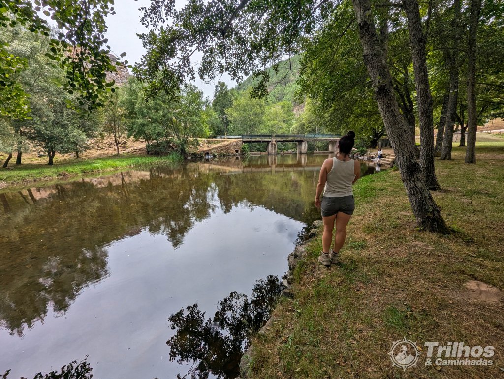 foto_11509