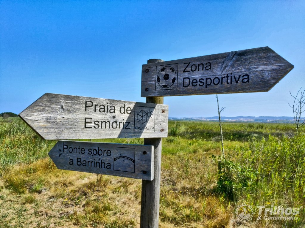 foto_11542