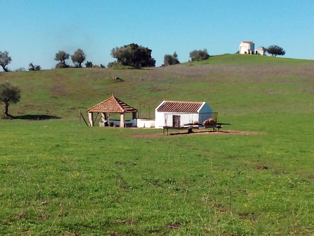 foto_11545