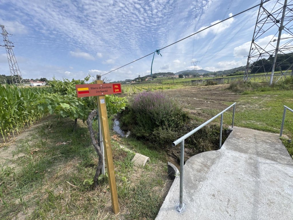 foto_11551