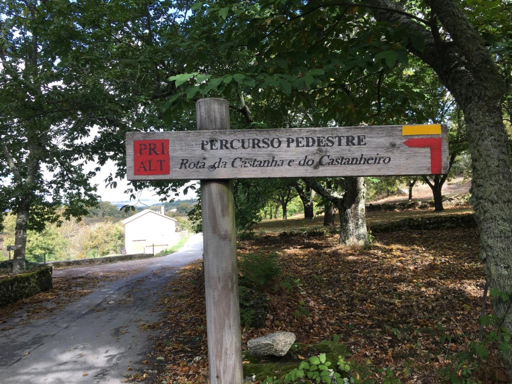 PR1 - Rota da Castanha e do Castanheiro