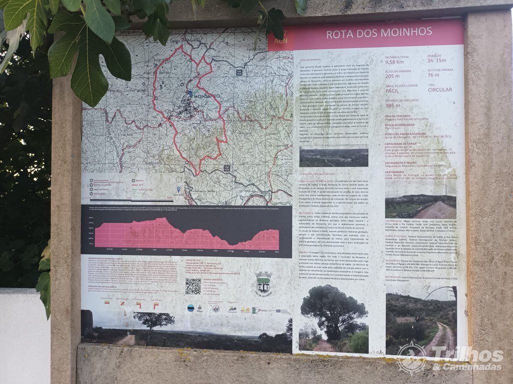 foto_11561