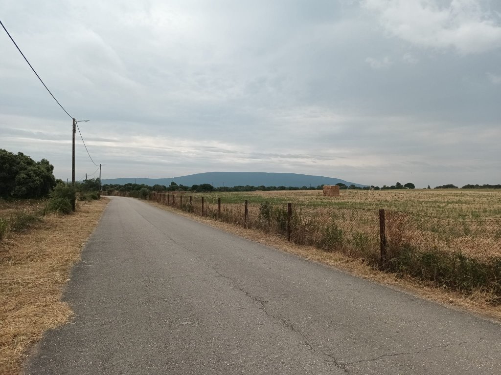 foto_11582