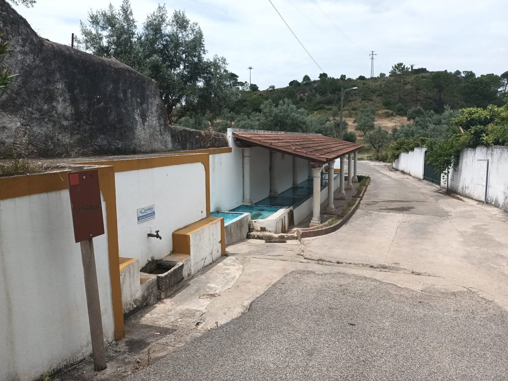 foto_11591