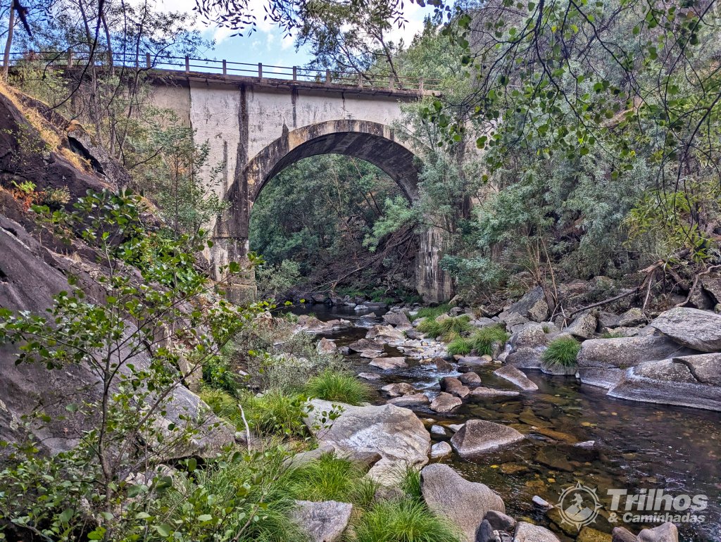 foto_11602