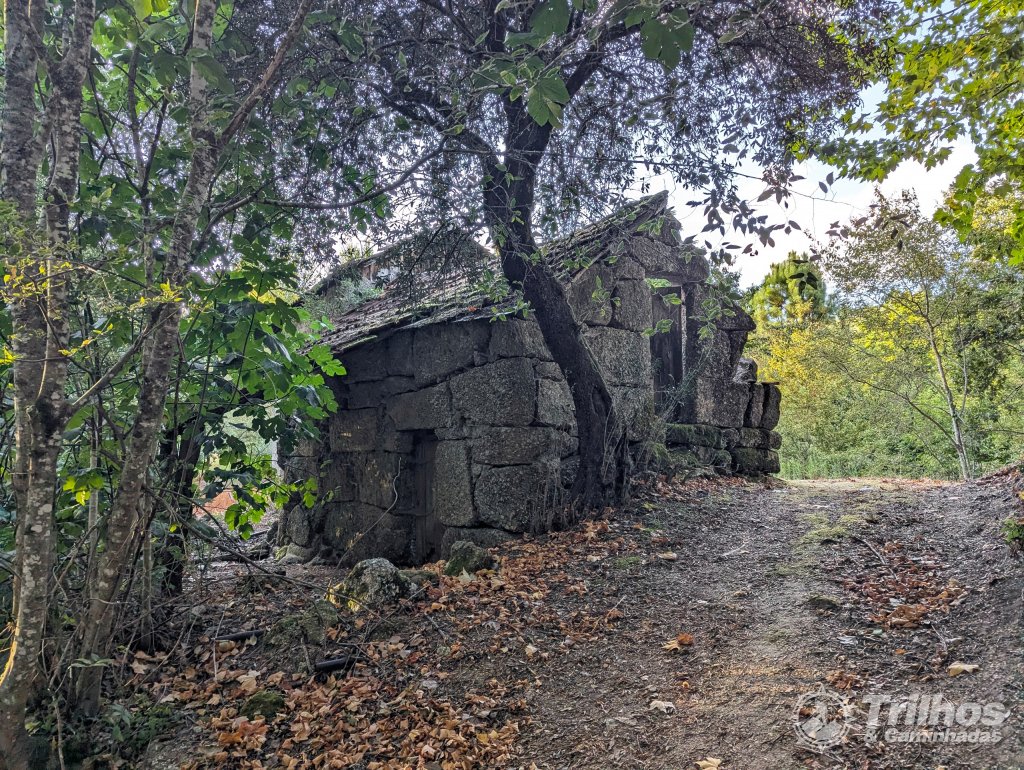 foto_11618