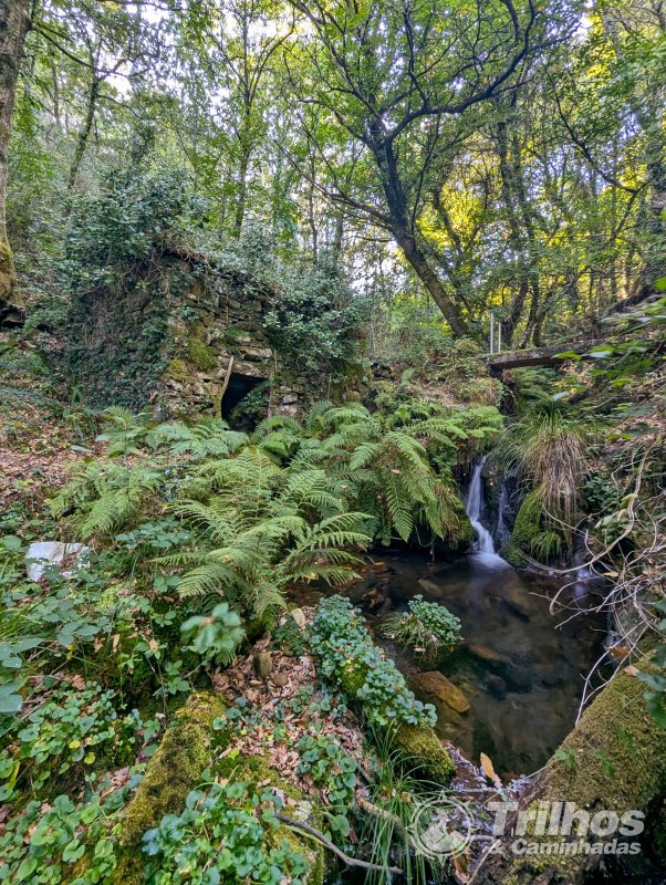 De Cabreiros a Rio de Frades com subida ao Cando pelas Goelas do Mundo