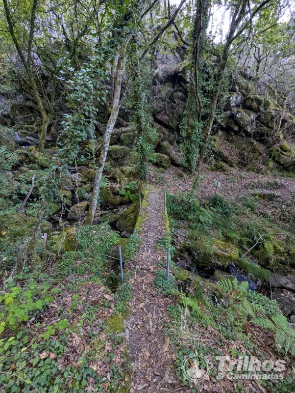 De Cabreiros a Rio de Frades com subida ao Cando pelas Goelas do Mundo