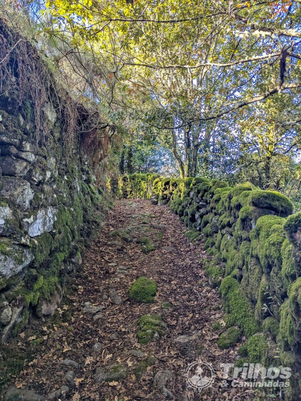 PR10 - Trilho do Lobo Atlntico