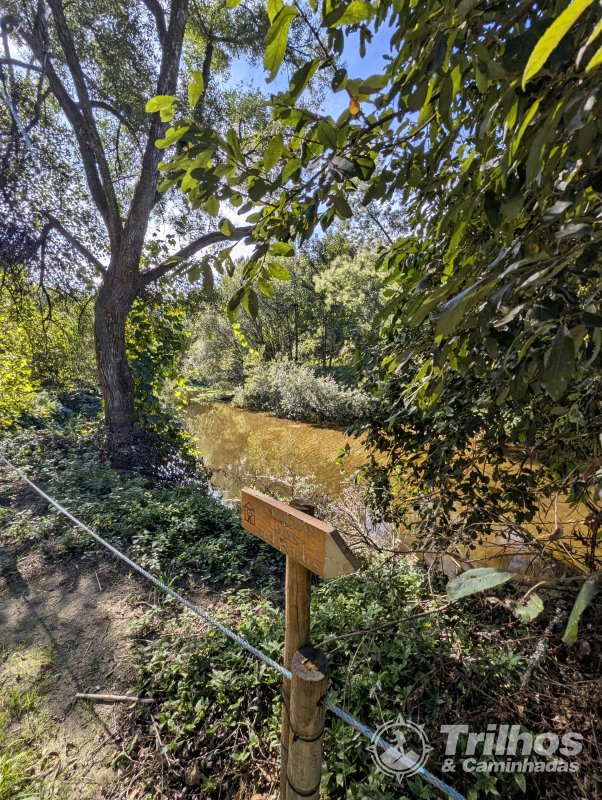 Moinhos de Jancido e Lagoas de Mides