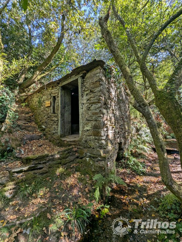 Moinhos de Jancido e Lagoas de Mides