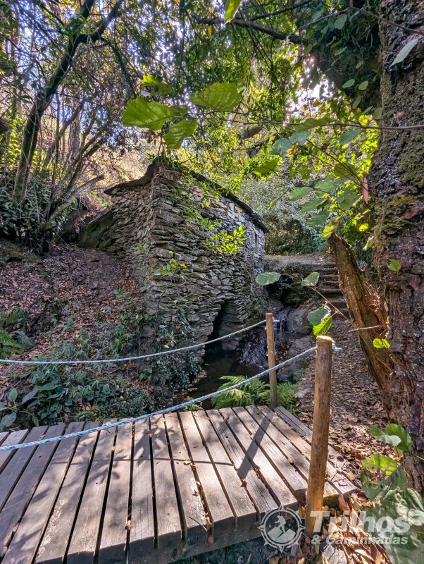 Moinhos de Jancido e Lagoas de Mides