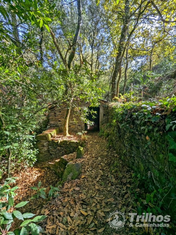 Moinhos de Jancido e Lagoas de Mides
