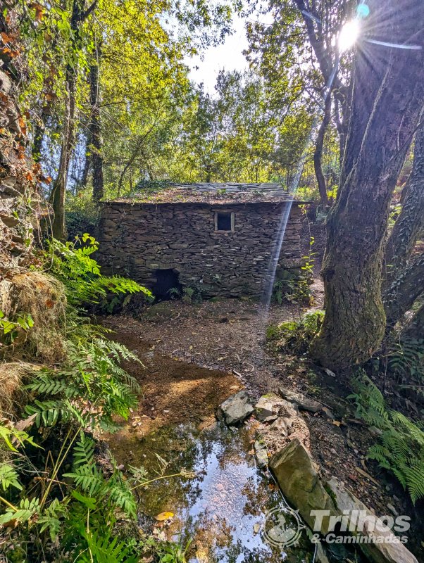 Moinhos de Jancido e Lagoas de Mides