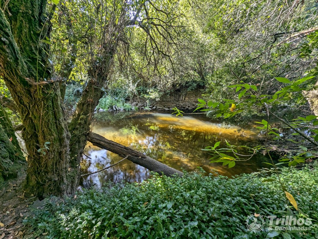 Moinhos de Jancido e Lagoas de Mides