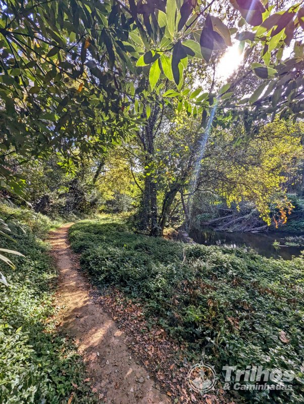 Moinhos de Jancido e Lagoas de Mides