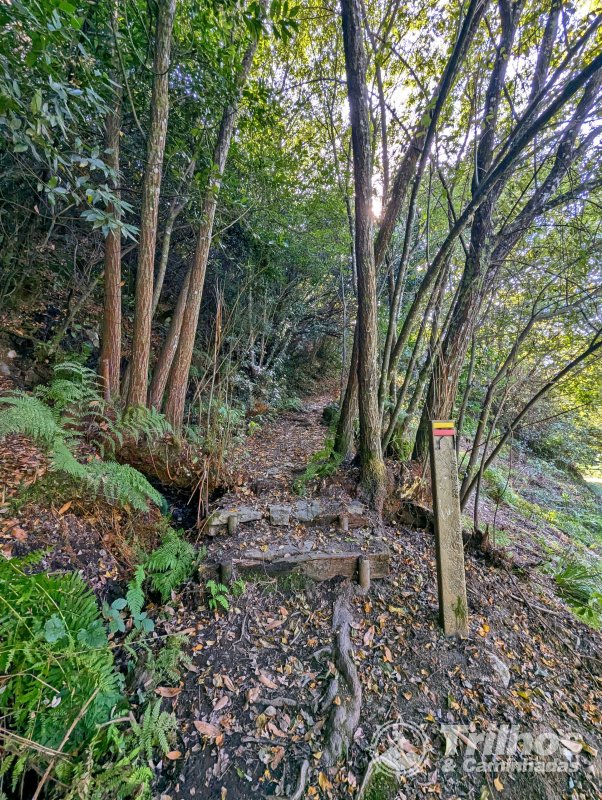 Moinhos de Jancido e Lagoas de Mides