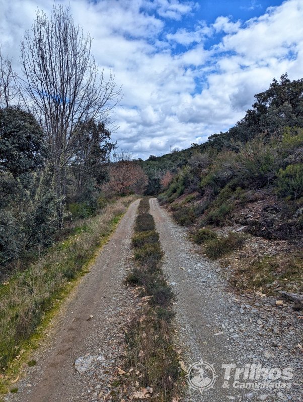 PR12 - Guadramil (Rota dos Cervdeos)