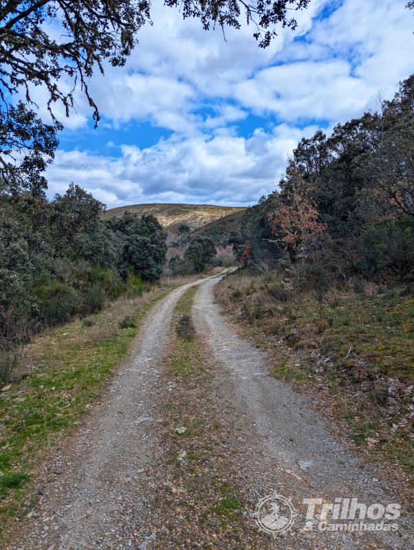 PR12 - Guadramil (Rota dos Cervdeos)