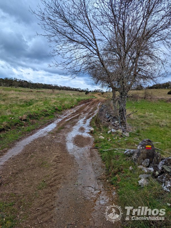 PR12 - Guadramil (Rota dos Cervdeos)