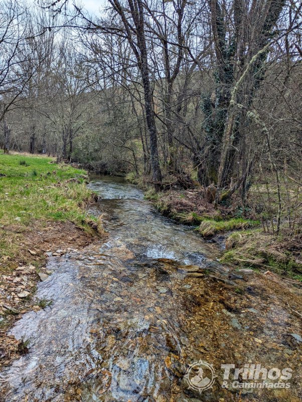 PR12 - Guadramil (Rota dos Cervdeos)