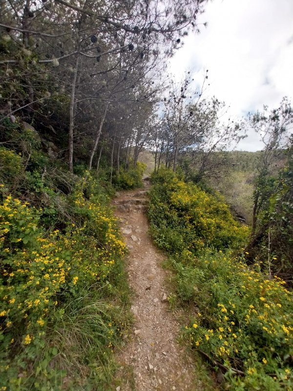 PR3 - Rota da Boa Viagem