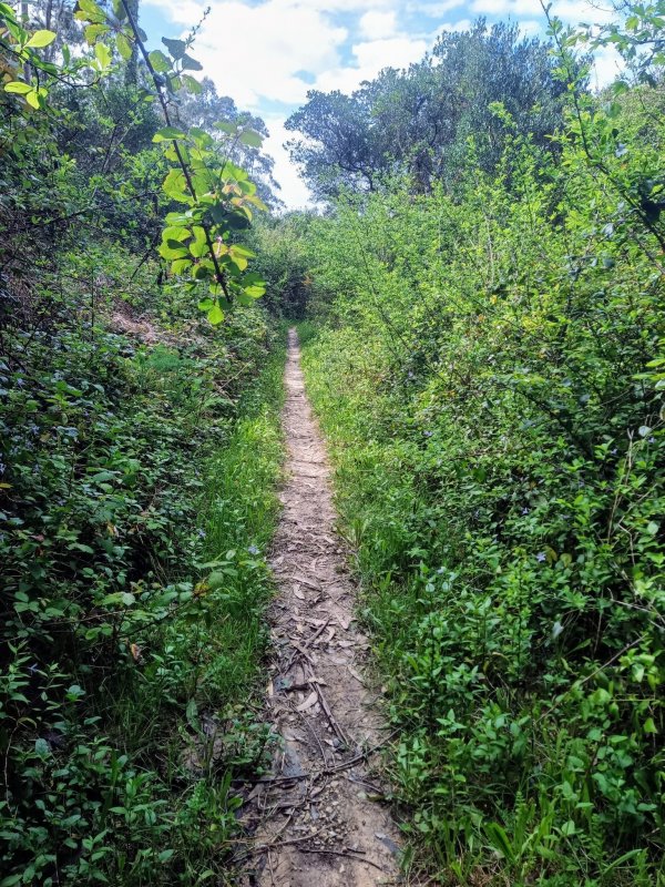 PR3 - Rota da Boa Viagem