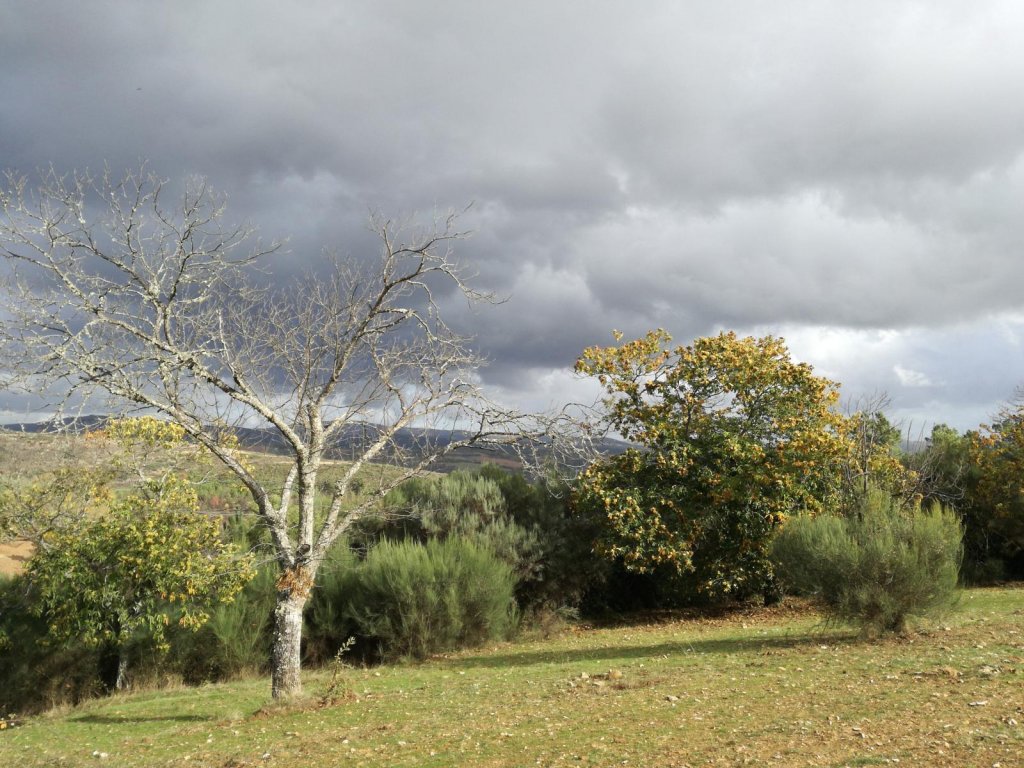 PR11 - Percurso de Tresmonte
