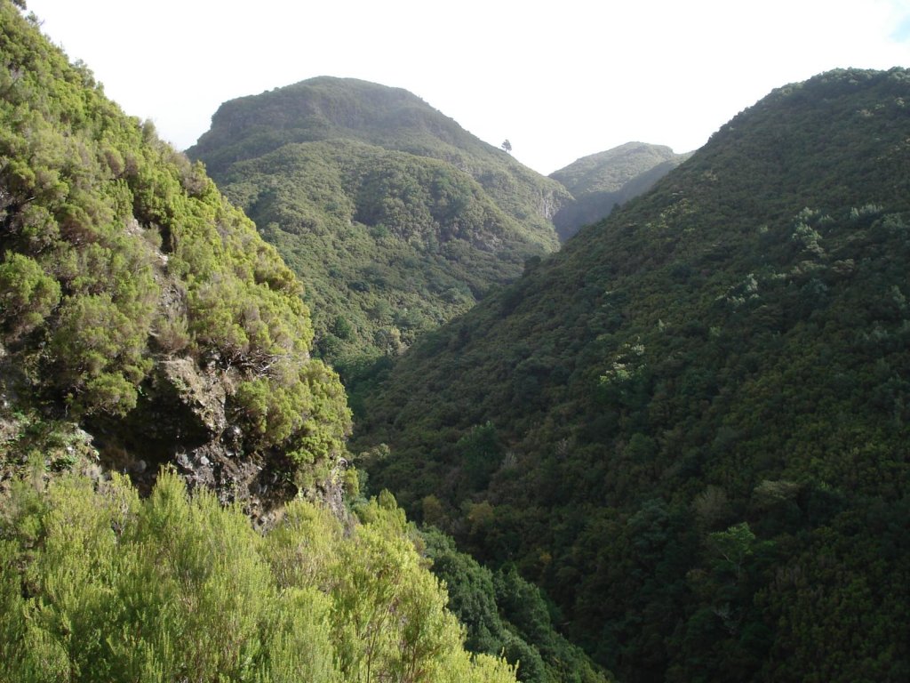 PR28 - Levada da Rocha Vermelha