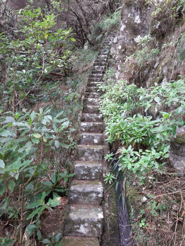 PR28 - Levada da Rocha Vermelha