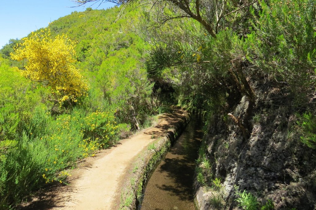 PR6.2 - Levada do Alecrim