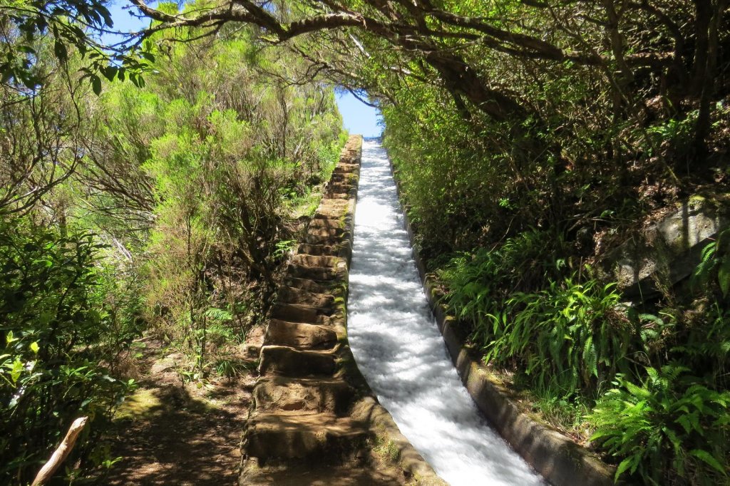 PR6.2 - Levada do Alecrim