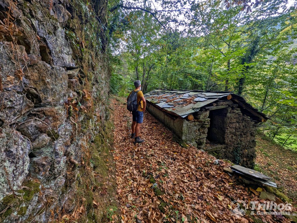 Trilhos dos Soutos e Levada de Canadelo