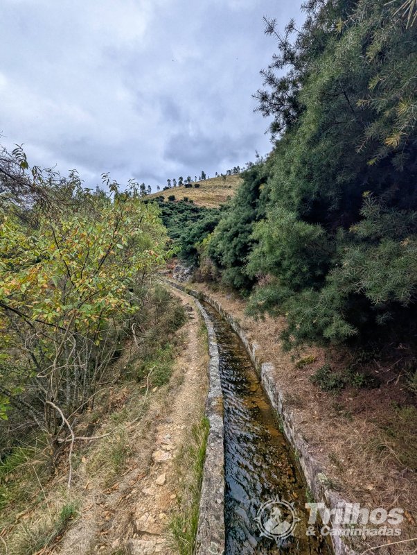 Trilhos dos Soutos e Levada de Canadelo