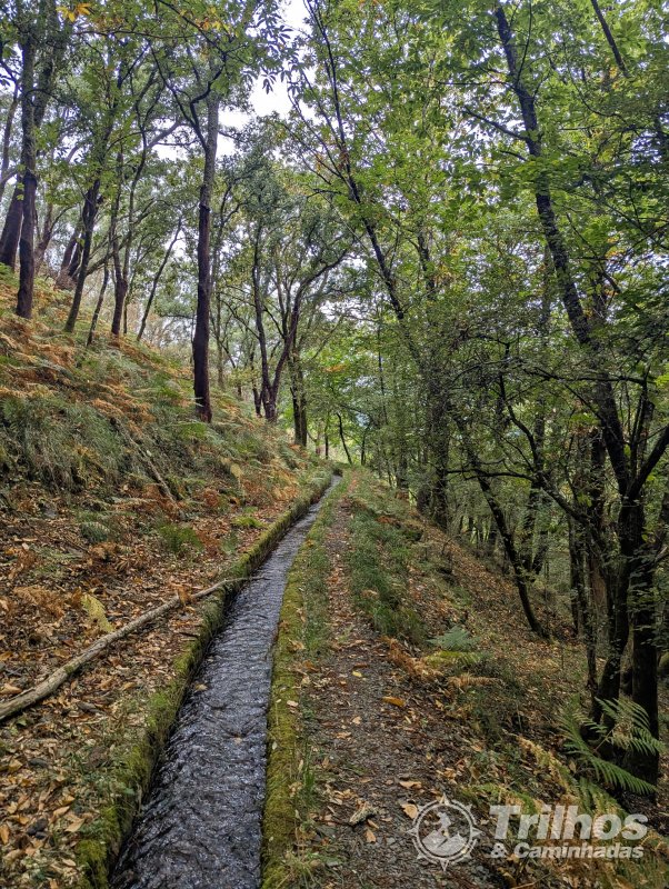 Trilhos dos Soutos e Levada de Canadelo